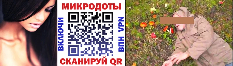 магазин Плёс Псилоцибиновые грибы прущие грибы